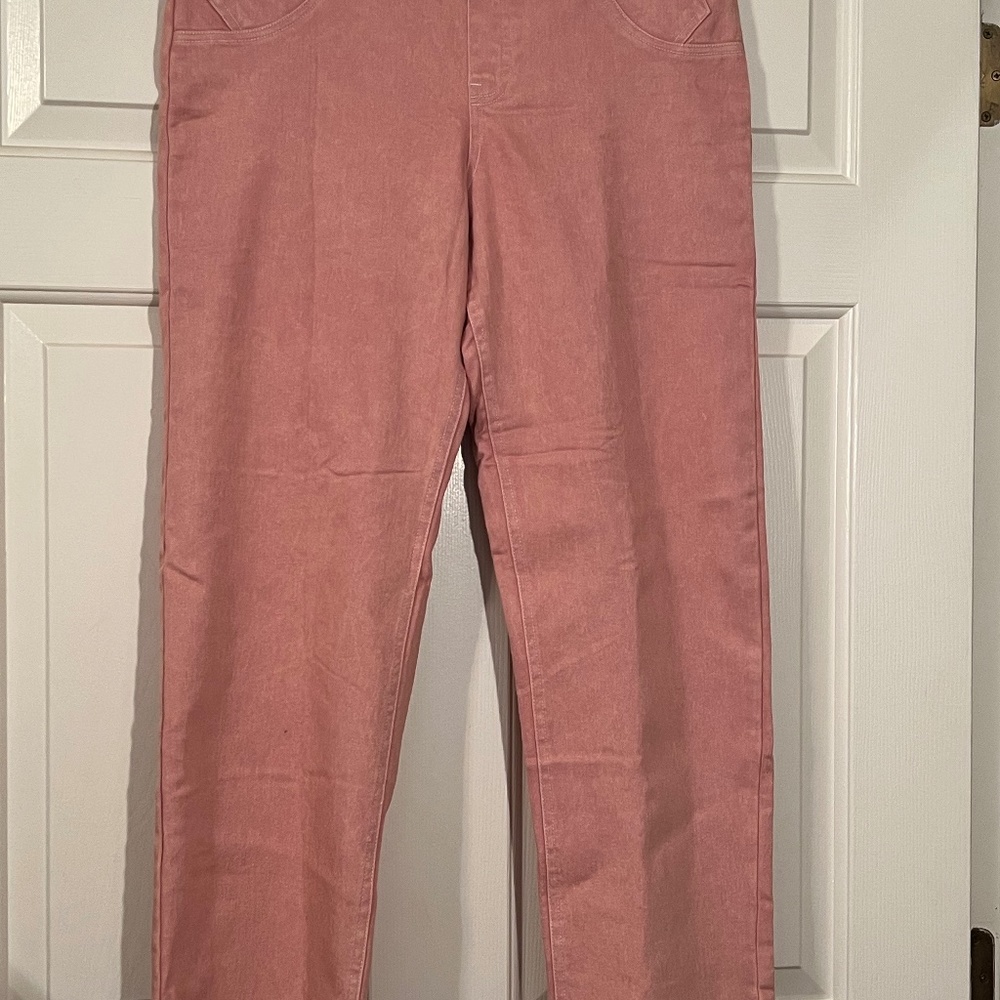 NWT Hue pants